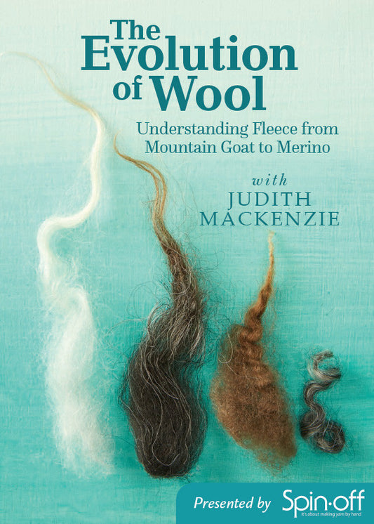 The Evolution of Wool Video DownloadImage