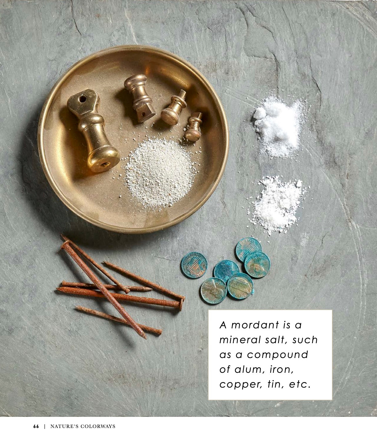 Nature’s Colorways: Conjuring the Chemistry and Culture of Natural Dyes (Book)