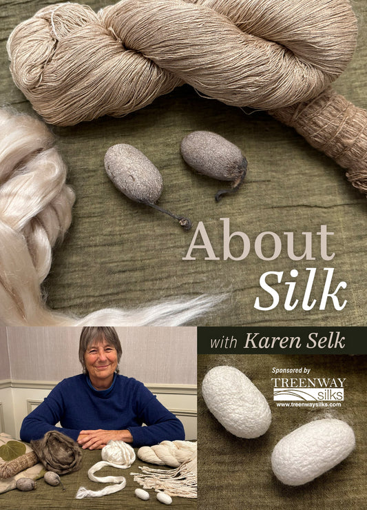 About Silk: Mini-Series with Karen Selk Video Download
