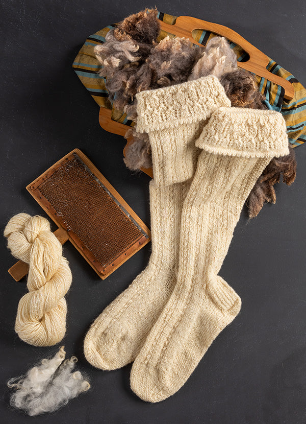 Spin Off Winter 2021