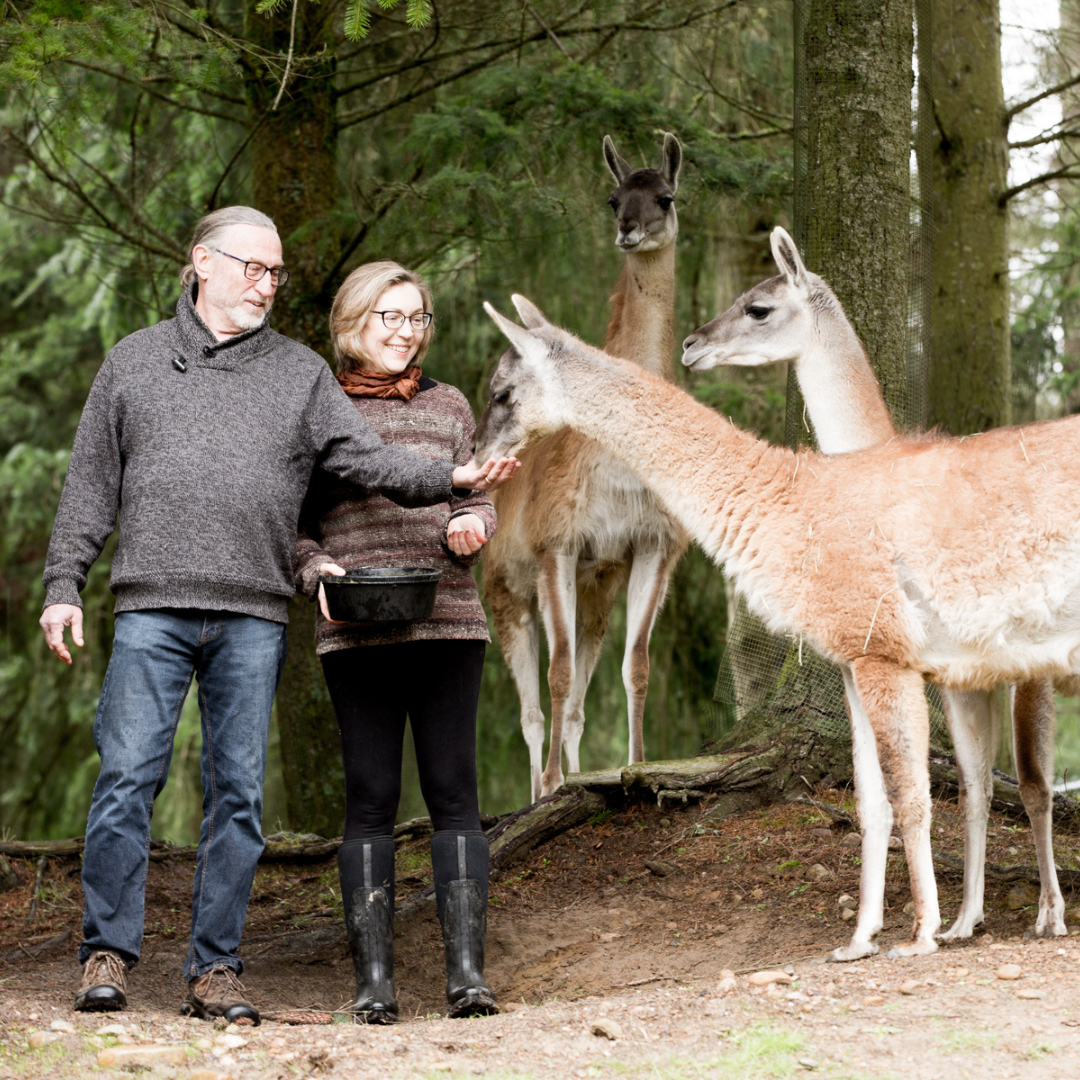Farm & Fiber Knits Fall Retreat (September 28–October 2, 2026 | La Conner, Washington)
