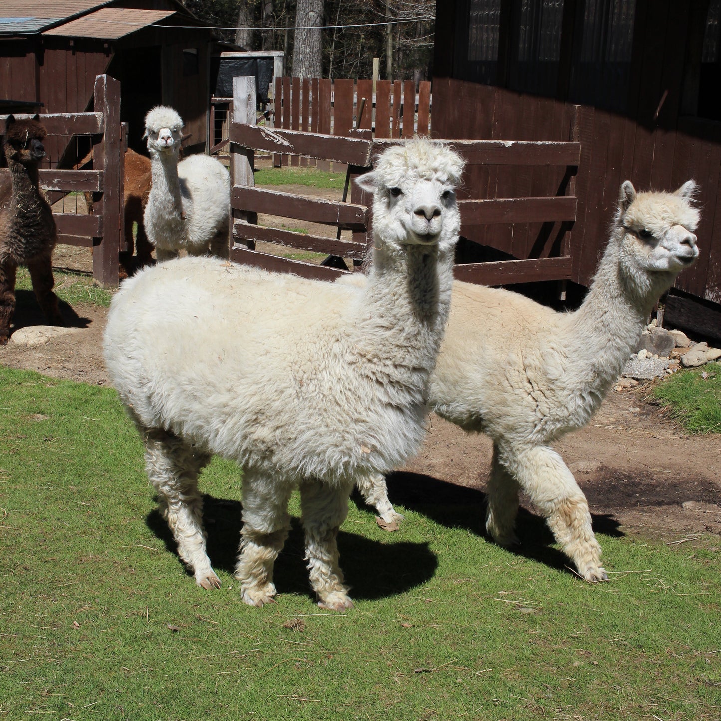 Farm & Fiber Knits Retreat (Spring Session 2: April 18-22, 2027 | With Samantha Guerin)