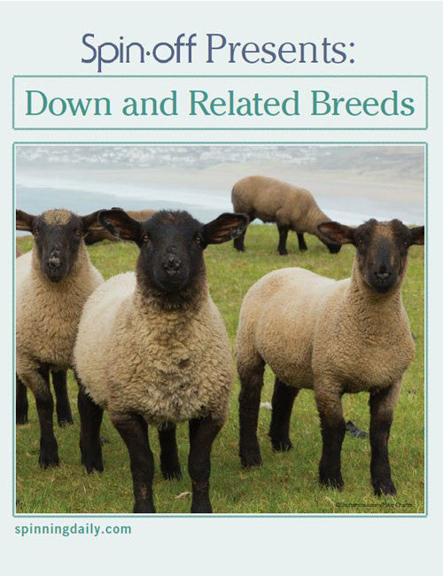 Spin-Off Presents: Down and Related Breeds eBookImage