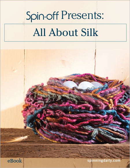 Spin-Off Presents: All About Silk eBookImage