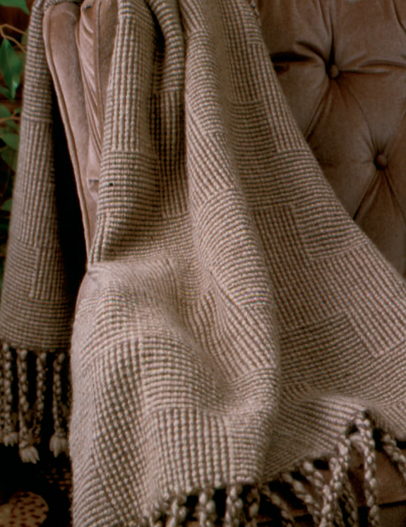 Best of Handwoven Top Ten Blankets and Throws on Four Shafts eBook