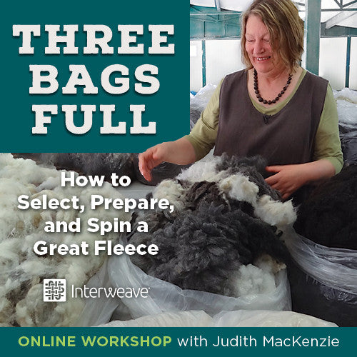 Three Bags Full: How to Select, Prepare, & Spin a Great Fleece with Judith MacKenzieImage